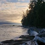 Profile Picture of Michelle Rolfson Weckesser (@mweck1) on Instagram