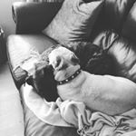 Profile Picture of Carol Hall (@carol122hall) on Instagram