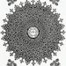 Profile Picture of Sperco Science (@spercoscience) on Pinterest