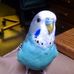 Profile Picture of Barbara Brumfield (@barbara.brumfield.7) on Facebook