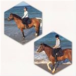 Profile Picture of heather/maya cgp (@les_poney_fous) on Instagram