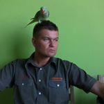 Profile Picture of Larry Rumoren (@larryrumoren) on Instagram