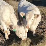 Profile Picture of Chris Sturdevant (@chris.sturdevant.2025) on Facebook