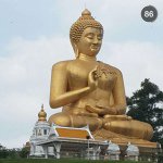 Profile Picture of Alex (@alex__fudge) on Instagram