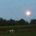 Profile Picture of Cheryl Reinert (@butchreinert201) on Pinterest