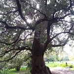 Profile Picture of Tony Abete (@abetetony) on Instagram