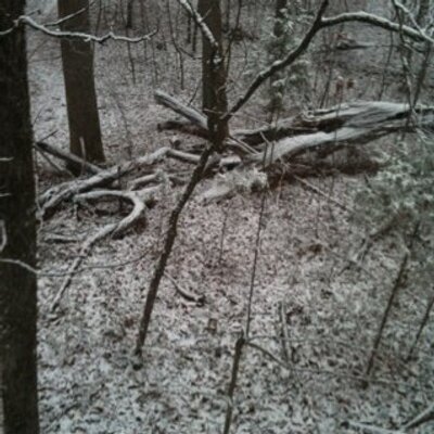 Profile Picture of Daniel Sawyers (@sawyersdnl) on Twitter