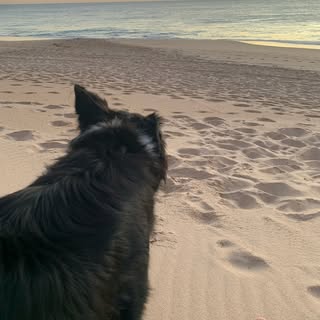 Profile Picture of Martin Spencer (@martinspencer) on Instagram