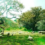 Profile Picture of David YOON (@idoohyuni) on Instagram