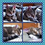 Profile Picture of Katelyn vance (@gelineti) on Instagram