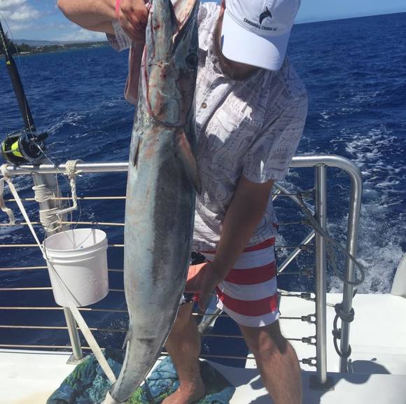 Profile Picture of Daniel Stovey (@danielstovey) on Poshmark