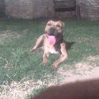 Profile Picture of Paula Catalano (@paulacatalano1) on Twitter
