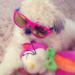 Profile Picture of Myrna Viera Agosto (@myrna_viera) on Instagram