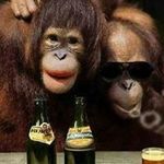 Profile Picture of Joseph Zammit (@joseph.zammit.37051) on Instagram