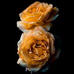 Profile Picture of James (@james_uys53) on Instagram