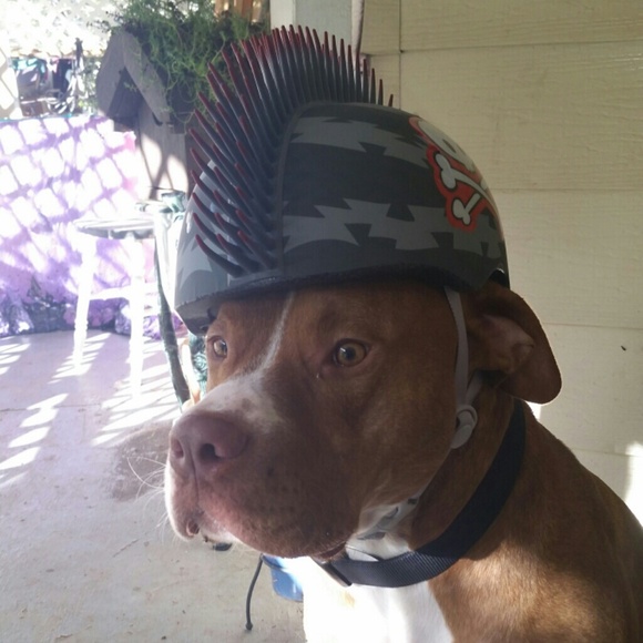 Profile Picture of Tammy Rompon (@tamr77) on Poshmark