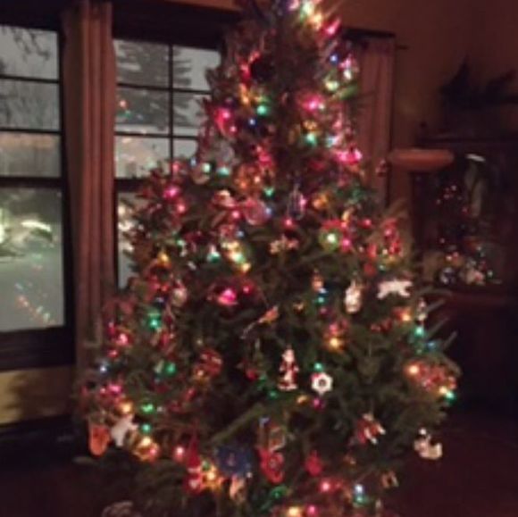 Profile Picture of Hannah Eigerman (@hannaheigerman) on Poshmark