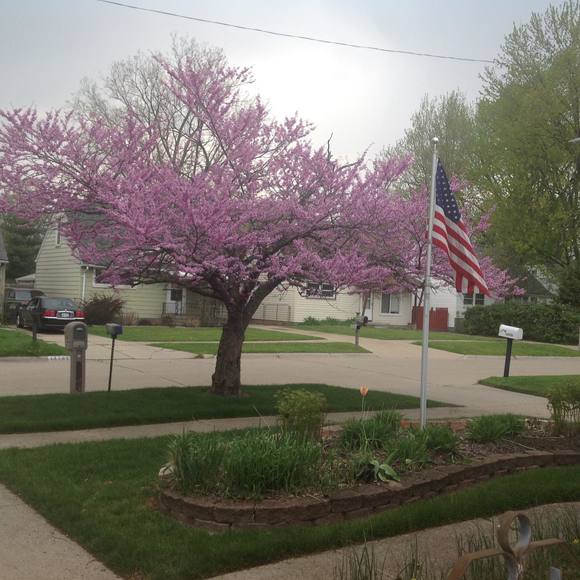 Profile Picture of Jean Chizick (@jchi278603) on Poshmark