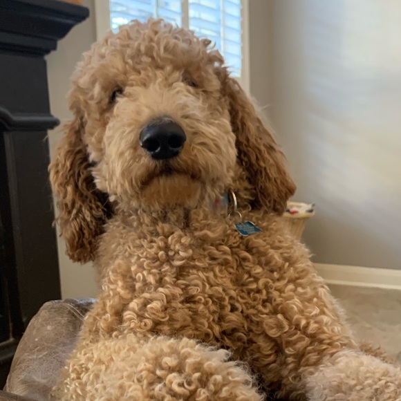 Profile Picture of Brian Bishop (@nicelydressed) on Poshmark