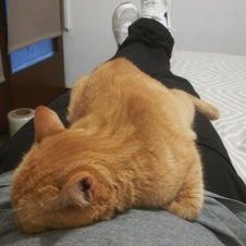 Profile Picture of EberMartin (@EberMartin2) on Twitter