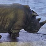 Profile Picture of keanu Tyrone Reeves (@keanu_tryone_) on Instagram