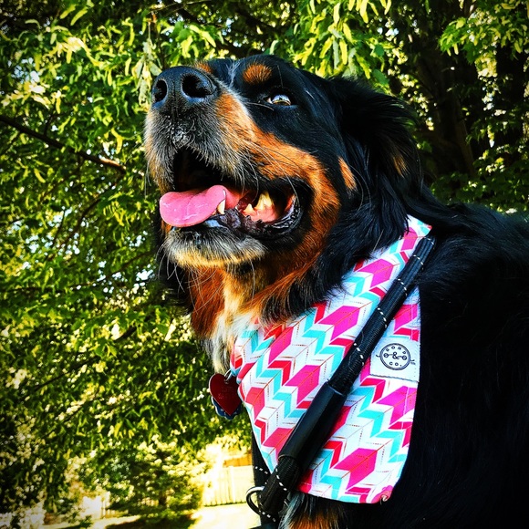 Profile Picture of Toriann Arbon (@anniesuelu) on Poshmark