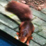 Profile Picture of robin.krumm10 (@robin.krumm10) on Instagram