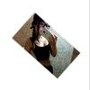 Profile Picture of Raquel Herrera (@@raqueelwatson00) on Tiktok