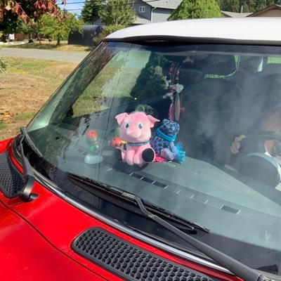 Profile Picture of Gordon Sanders (@GordonS70899238) on Twitter