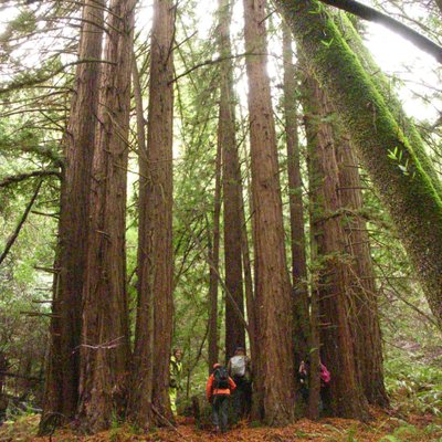 Profile Picture of John Slaymaker (@johnslaymaker) on Twitter