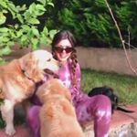 Profile Picture of Joy Ve Chuby (@joyandchubby) on Instagram