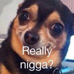 Profile Picture of Tommy Guzman (@tommyisboss1999) on Instagram