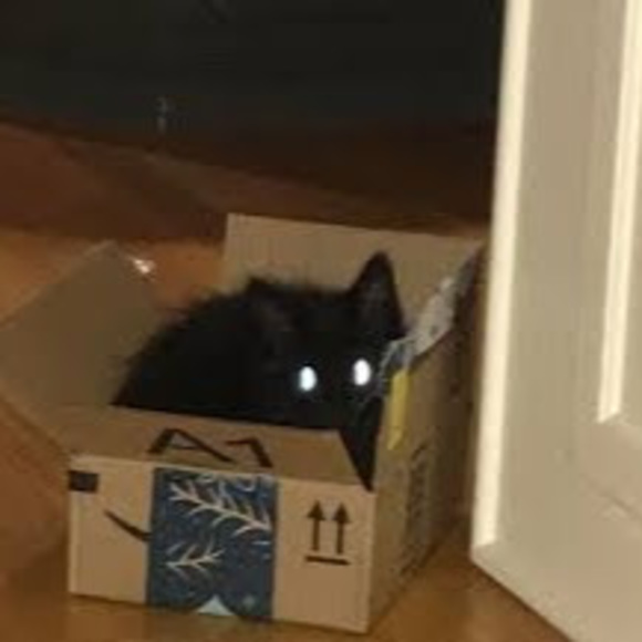 Profile Picture of Gibby (@giibby) on Poshmark