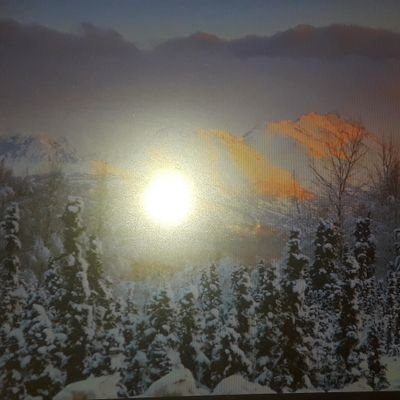 Profile Picture of Ray Gardner (@RayGard50968203) on Twitter