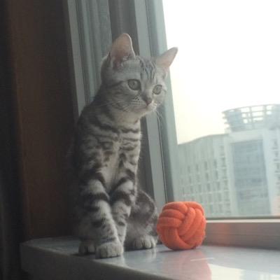 Profile Picture of Wendy Xiong (@WenzheX) on Twitter
