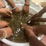 Profile Picture of Pamela Adams (@iyabolaji7557) on Instagram