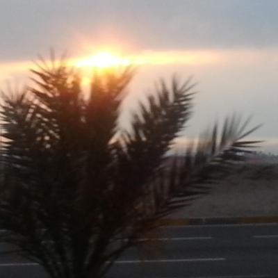 Profile Picture of Hugo Avilés Arredond (@AHaviles) on Twitter
