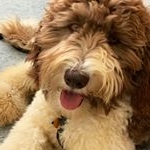 Profile Picture of St. Mark's Episcopal Church (@francesstmarks) on Instagram