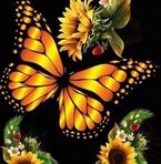 Profile Picture of Doris Bonilla (@doris.bonilla.77312) on Facebook