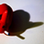 Profile Picture of Gavin (@gavin james) on Flickr