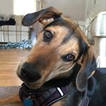 Profile Picture of Arlow James (@arlow.james) on Instagram