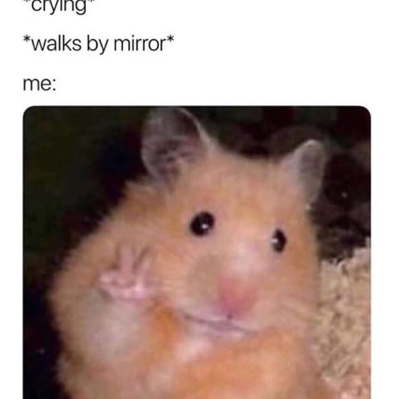 Profile Picture of Eunice Cepeda (@eunicecepeda) on Poshmark