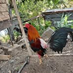 Profile Picture of David Borjas (@David-Borjas) on Facebook