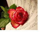 Profile Picture of Reem Saeed (@reeem46) on Flickr