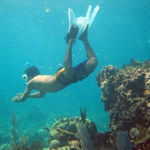 Profile Picture of Dan Livengood (@162565690) on Myspace