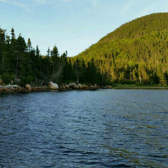 Profile Picture of Carla Campbell (@vincarla) on Poshmark