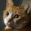Profile Picture of Damian Hoffman (@damian.hoffman) on Tiktok