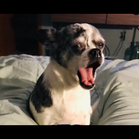 Profile Picture of Megan Ruhlman (@loaflife143) on Poshmark