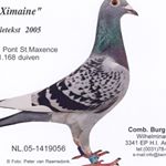 Profile Picture of Peter Van der Burg (@peter.vanderburg.353) on Instagram