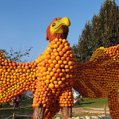 Profile Picture of Jeremy.holler (@HollerJeremy) on Twitter